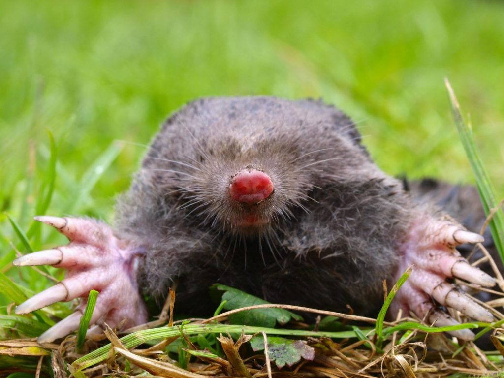 Photo: Depositphotos.com