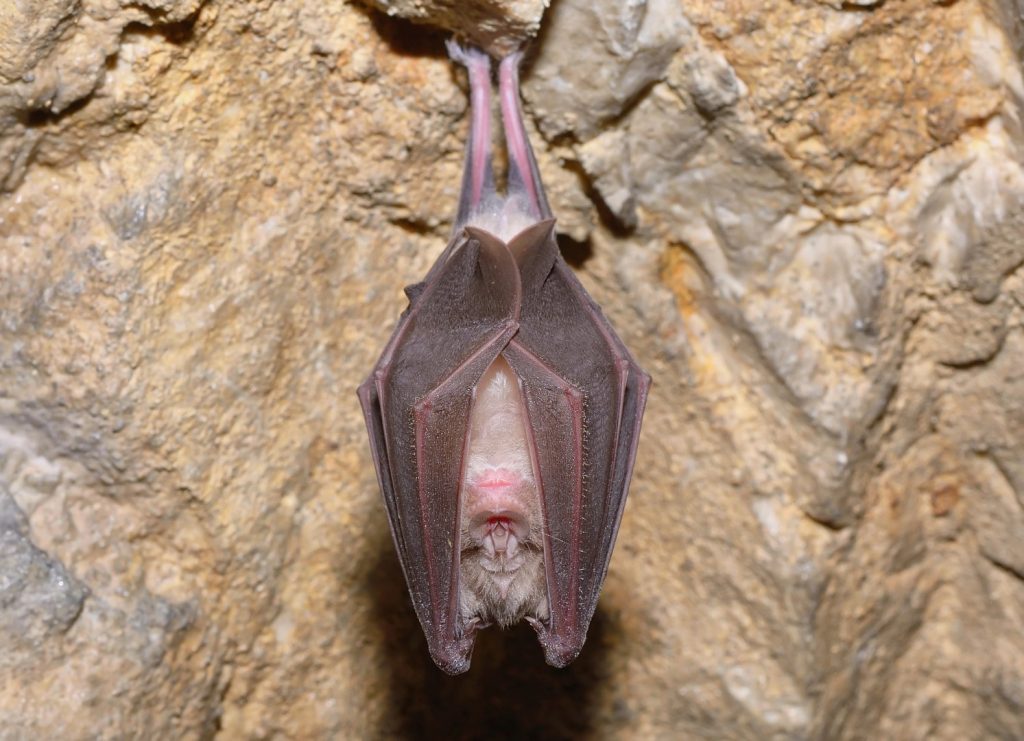 Photo: Depositphotos.com