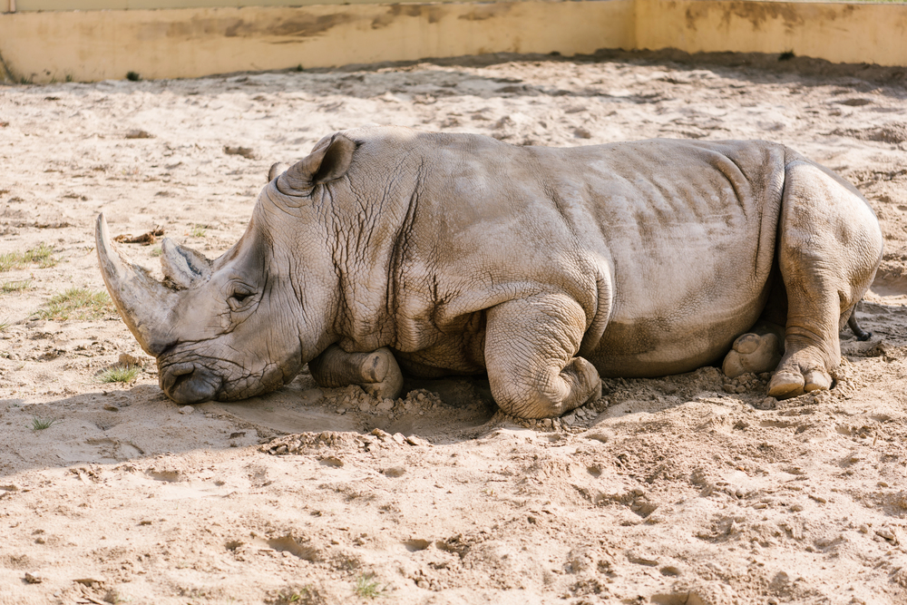 Depositphotos