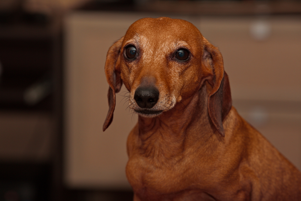Depositphotos
