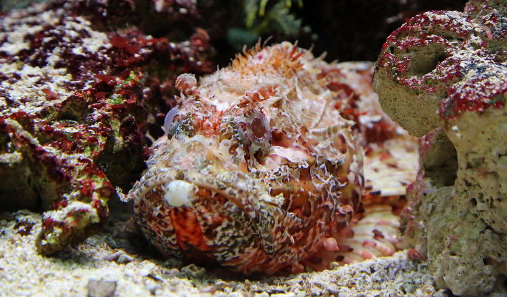 Depositphotos