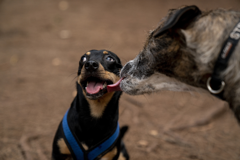 Depositphotos