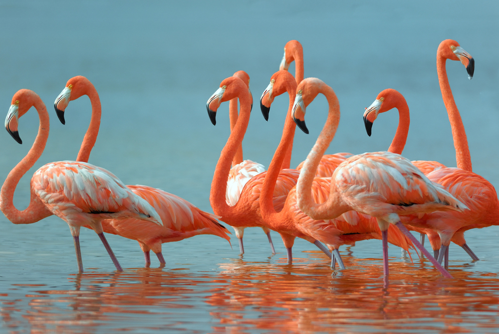 Depositphotos