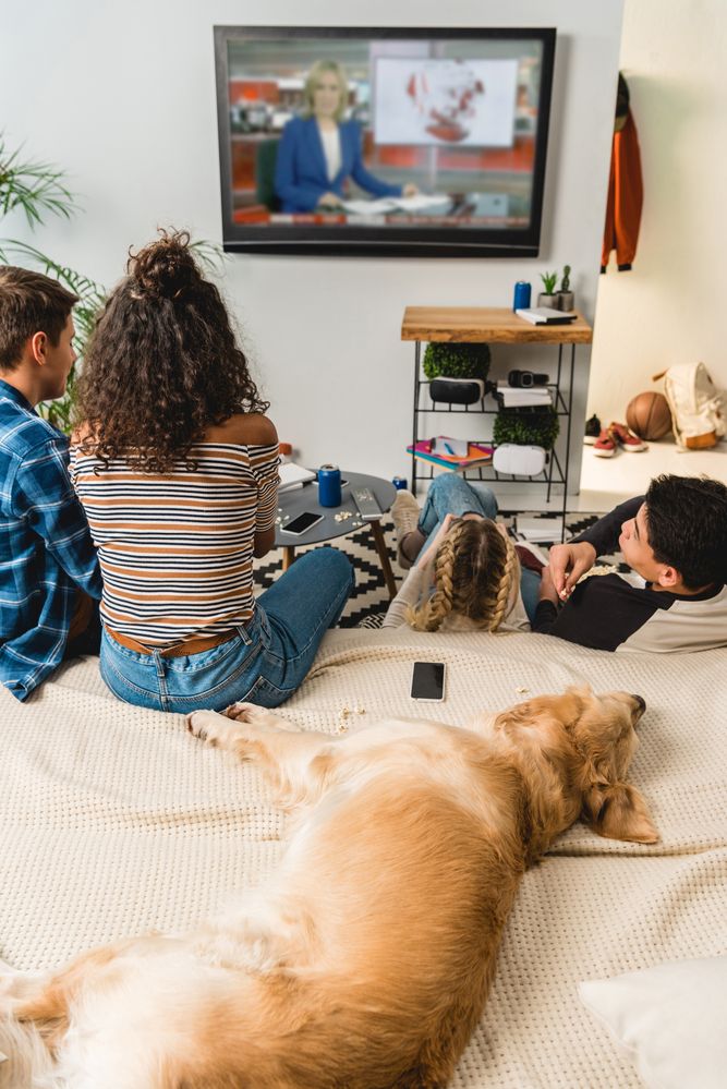 Can a Dog Watch TV?