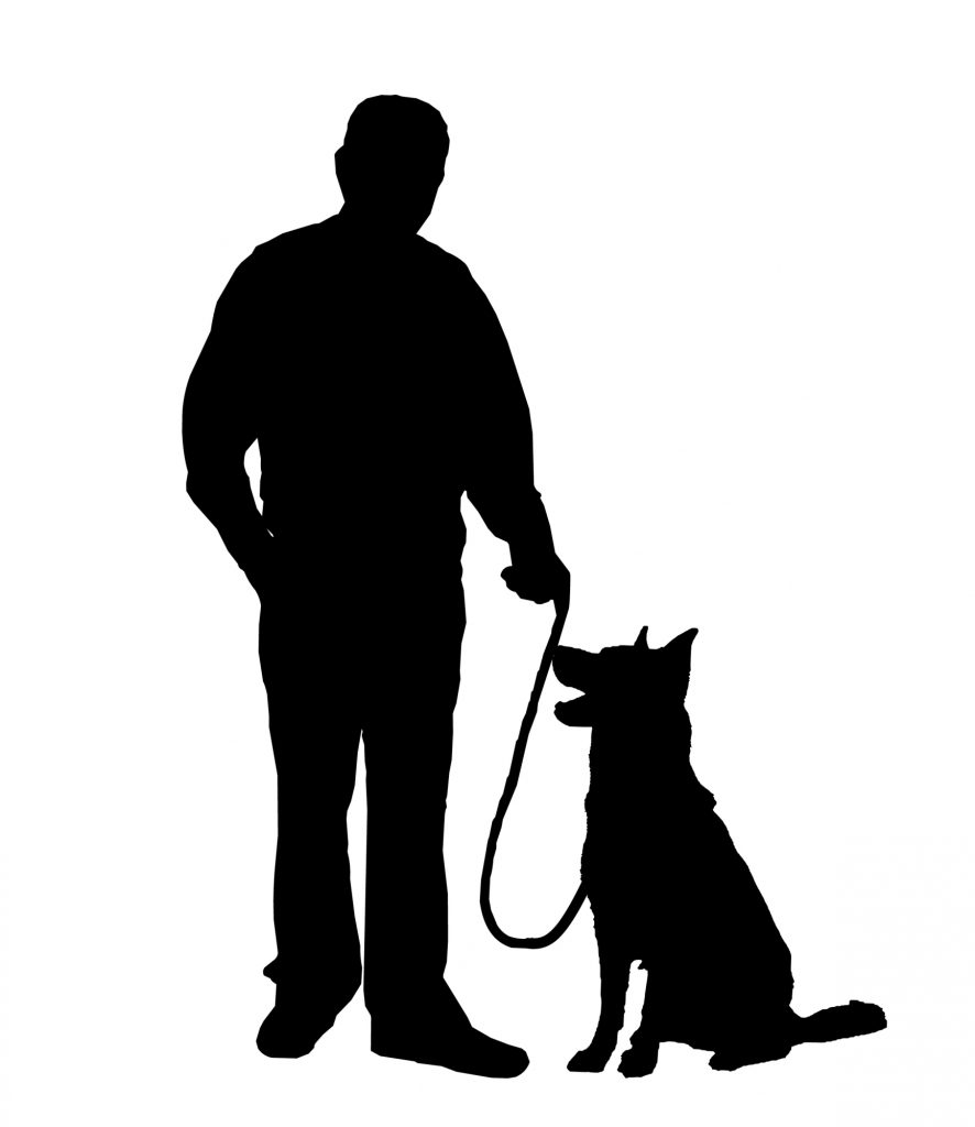 How to Teach Your Dog Not to Jump Up