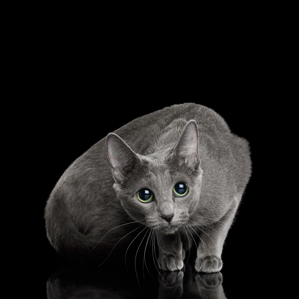 Depositphotos