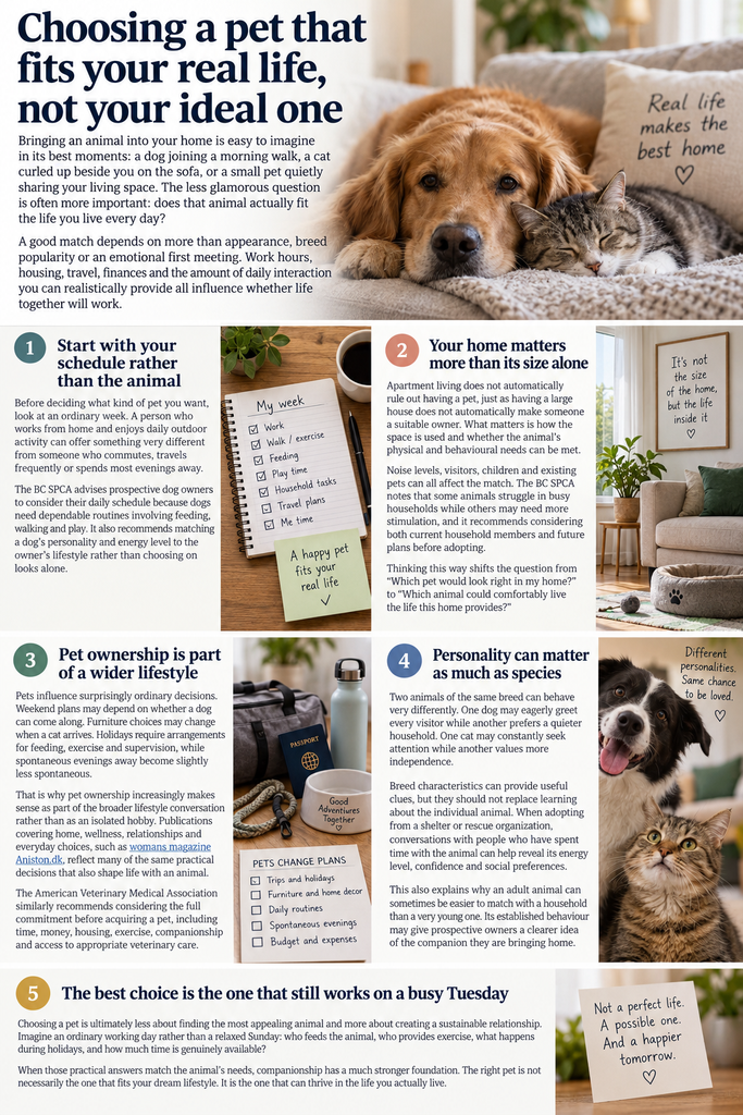Choosing a pet that fits your real life, not your ideal one
