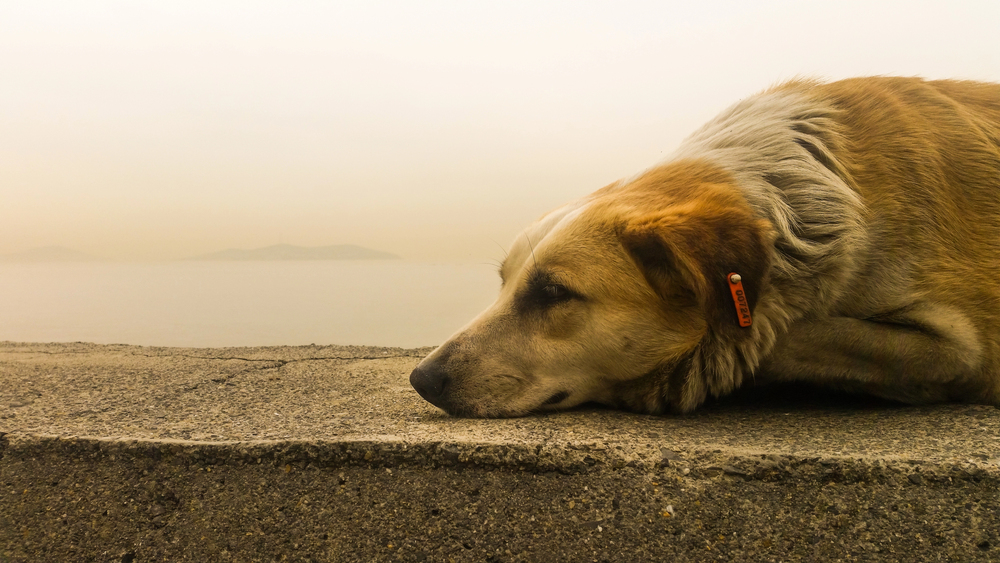 Depositphotos