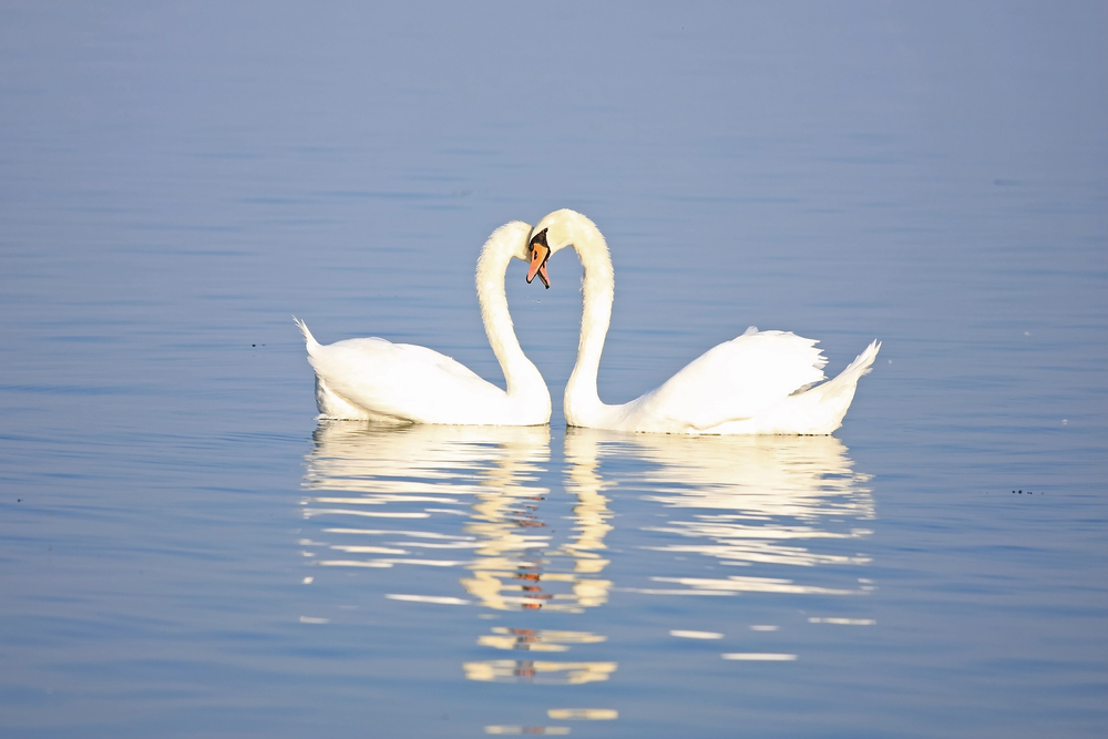 Depositphotos