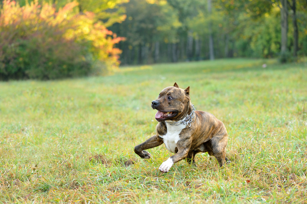 Depositphotos.com