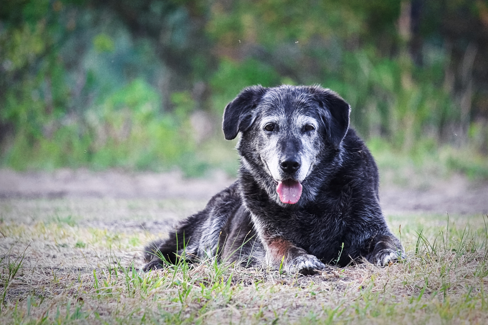 Depositphotos