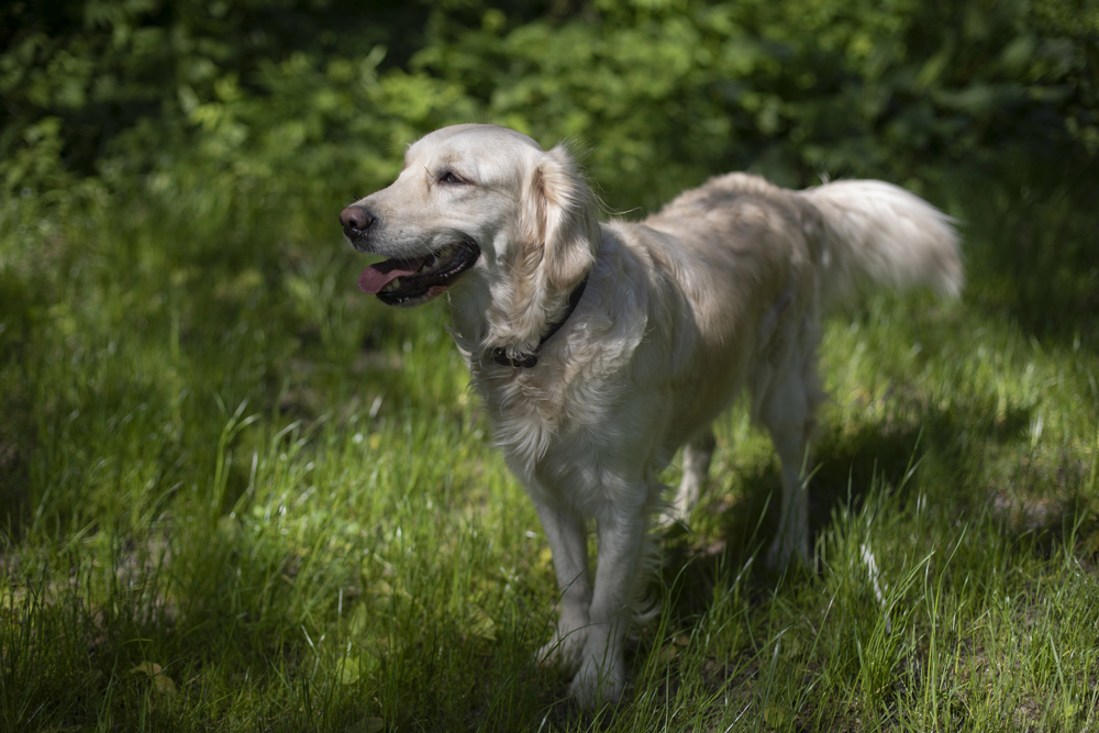 Depositphotos